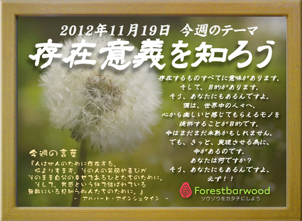 topic20121119