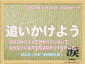 week20230410