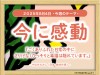 31_week_20250804