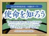 34_week_202508025