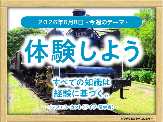 24_week_20260608_0
