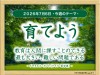 28_week_20260706