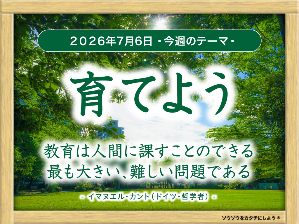 28_week_20260706