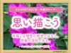 31_week_20260727