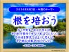 31_week_20260803