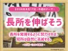 33_week_20260817