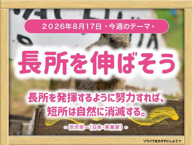 33_week_20260817