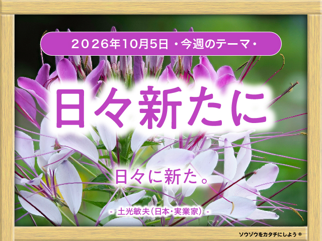 40_week_20261005